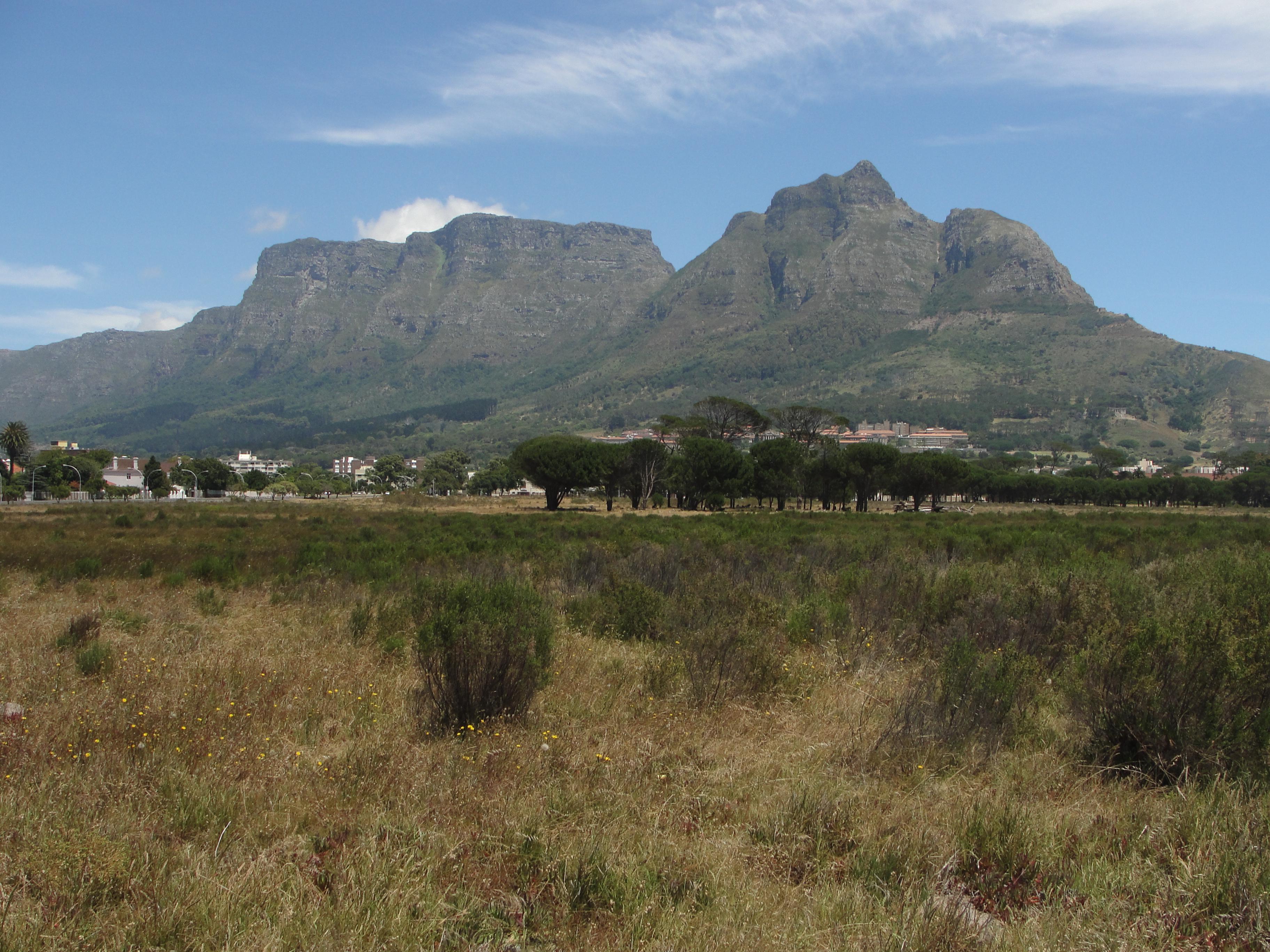 Rondebosch Common
